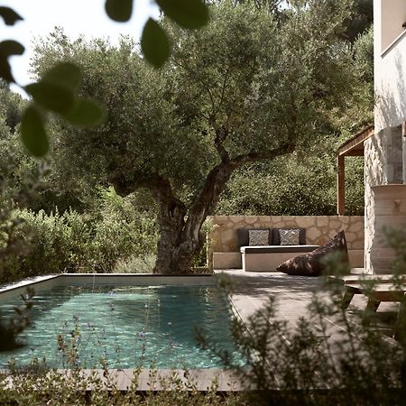Zayn Luxury Villas, A Serene Escape, By Thinkvilla Tsilivi  Buitenkant foto