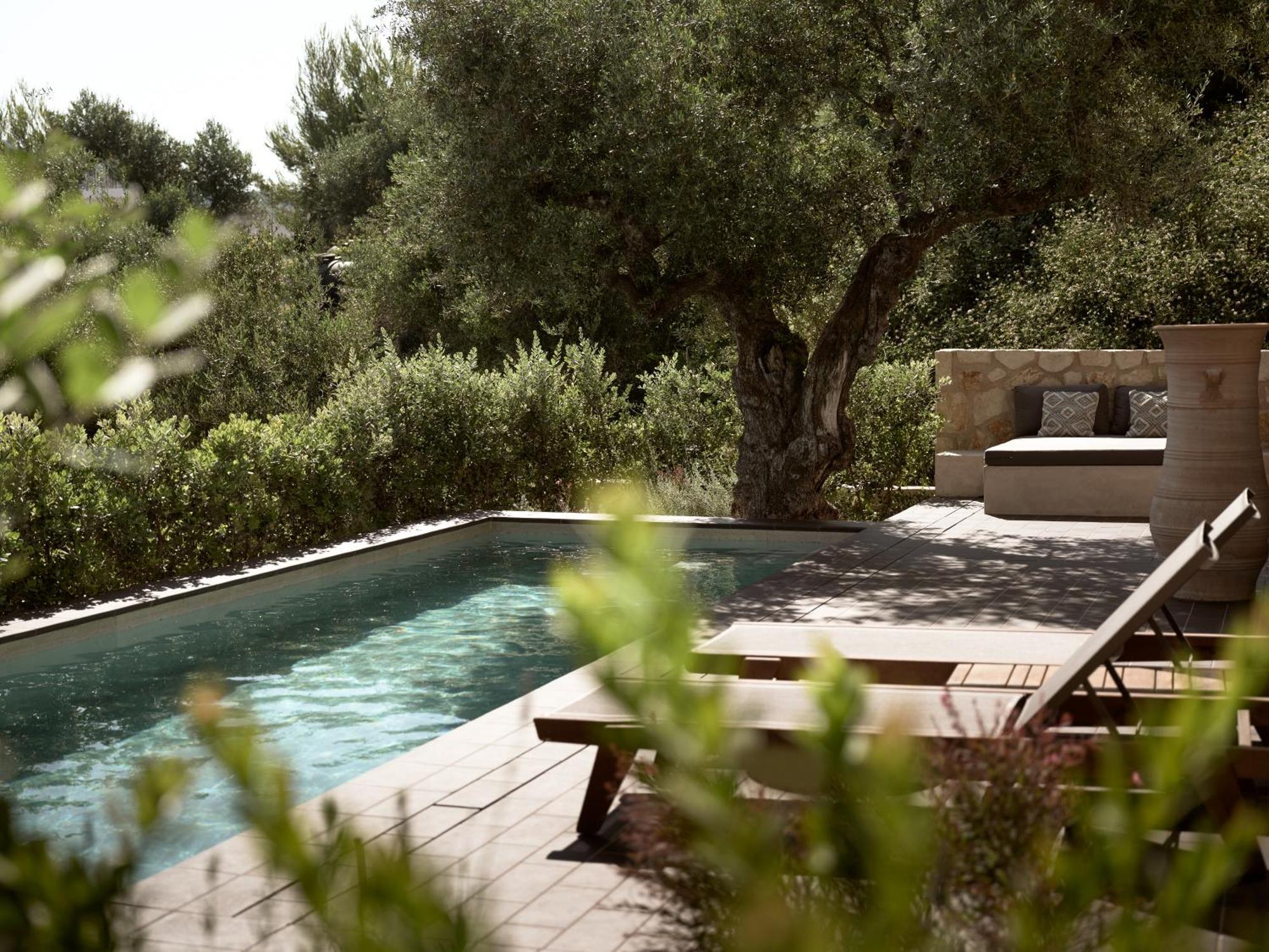Zayn Luxury Villas, A Serene Escape, By Thinkvilla Tsilivi  Buitenkant foto