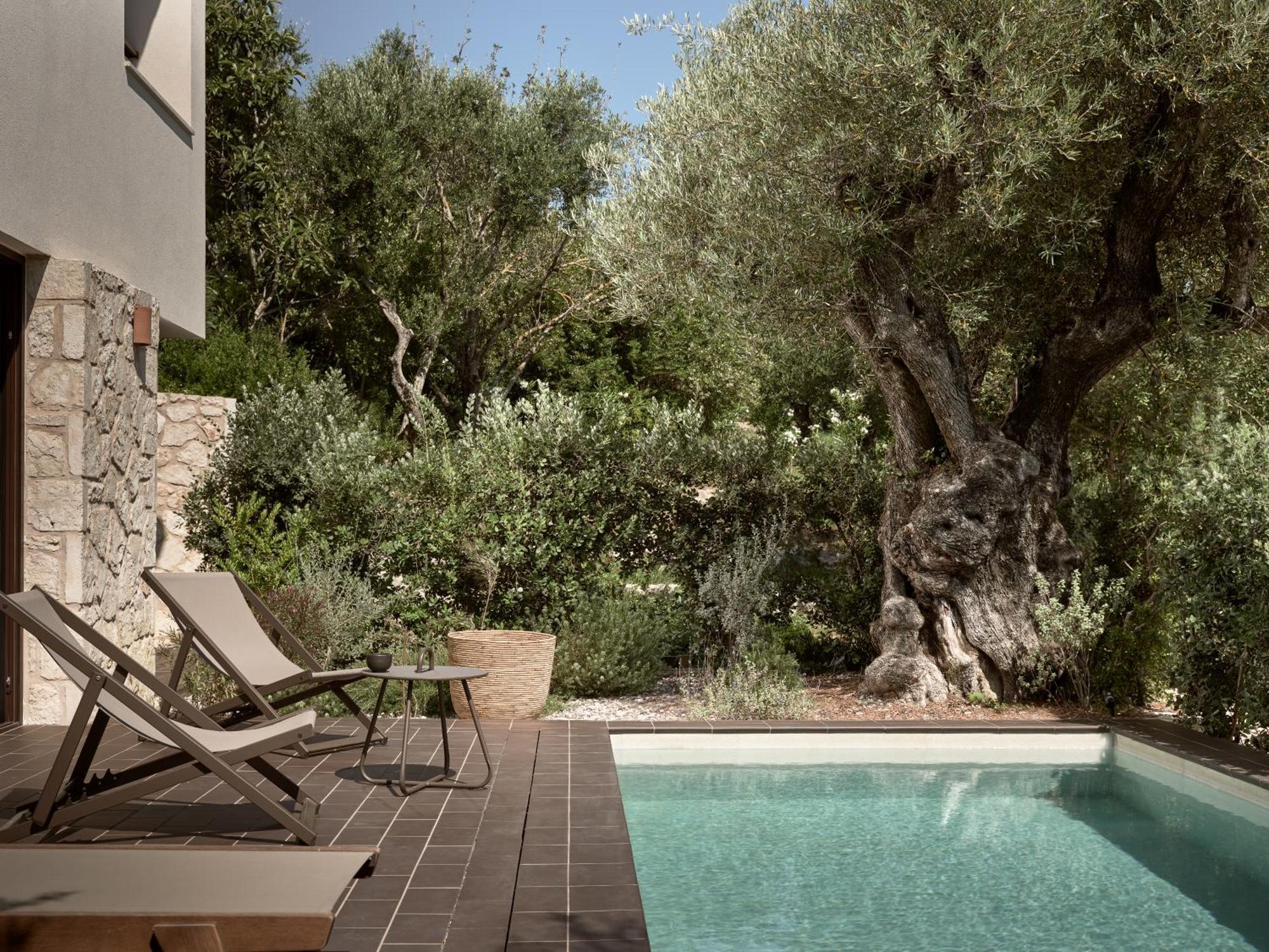 Zayn Luxury Villas, A Serene Escape, By Thinkvilla Tsilivi  Buitenkant foto